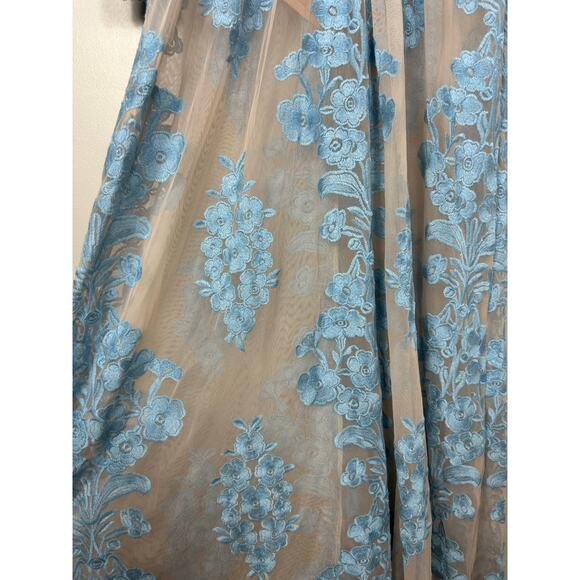 For Love And Lemons Sheer Blue and Tan Maxi Dress - Picture 5 of 13